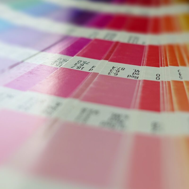 Pantone color swatches used to explore brand color guidelines and color consistency