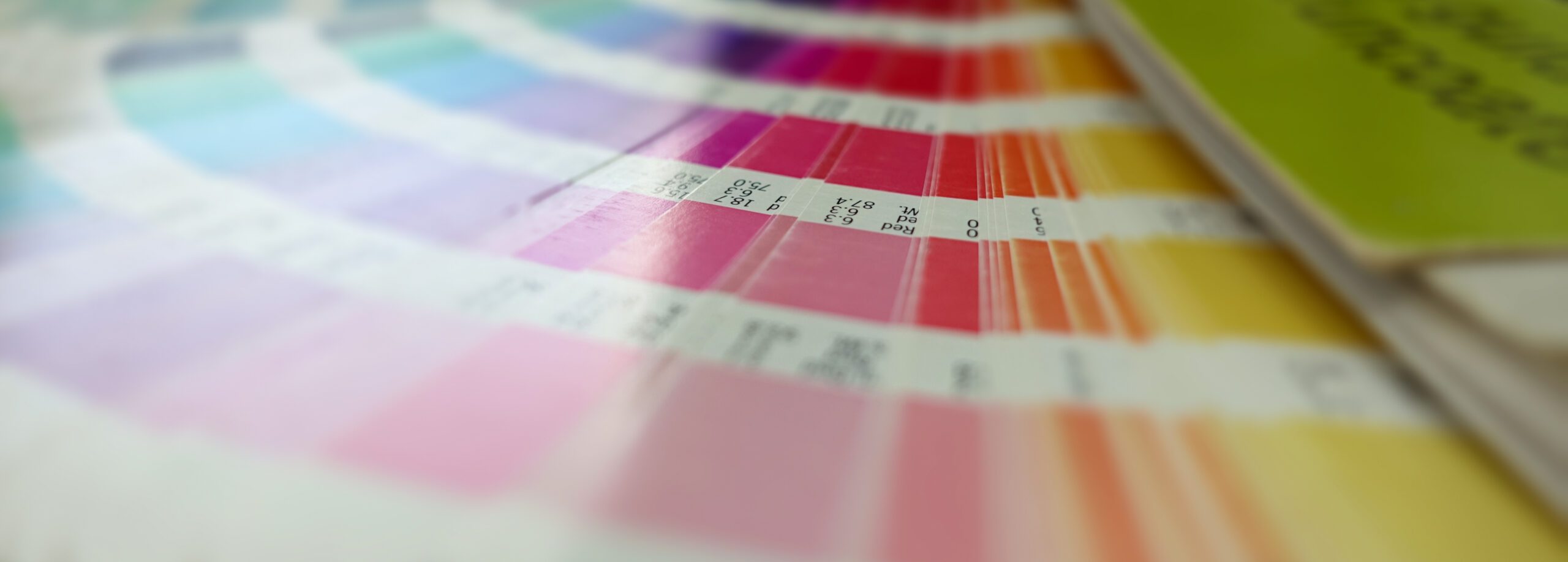 Pantone color swatches used to explore brand color guidelines and color consistency